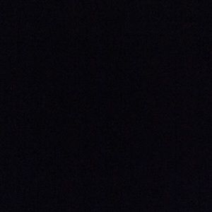 Meet your Posher, Bertie